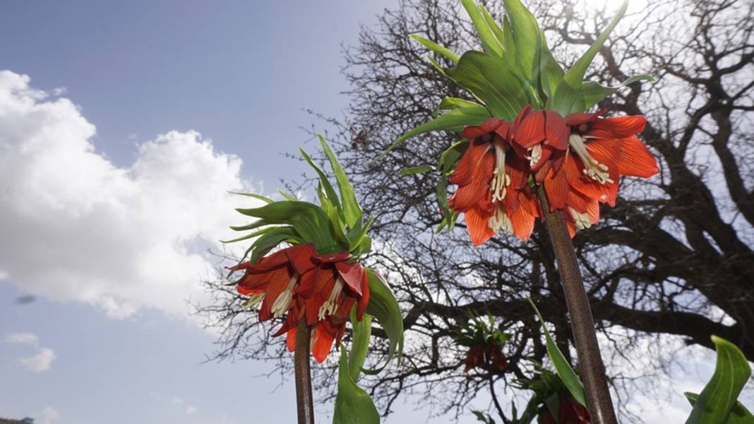 Bu insanlar neye bakıyor? Gece-gündüz nöbet tutuyorlar, ilk kez görenler şaştı kaldı! 20